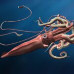 【魅了】謎に包まれた深海の怪物！巨大イカの魅力を探る