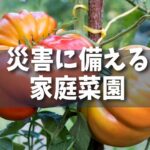 【備え】初心者でも簡単！：災害に備える家庭菜園と害虫対策