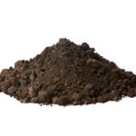 【泥魅】日本で静かなブーム：美しい泥団子の作り方とその魅力に迫る